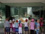 Děti z MŠ navštívily ZOO Liberec [nové okno]