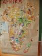 Žáci 1. třídy vytvořili mapu Afriky [nové okno]