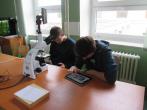 Přírodovědný projekt - mikroskopování [nové okno]