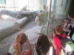 Výlet do Zoo Liberec [nové okno]